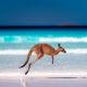 Embrace the Ocean’s Magic: Unveil Australia’s Most Exquisite Beaches