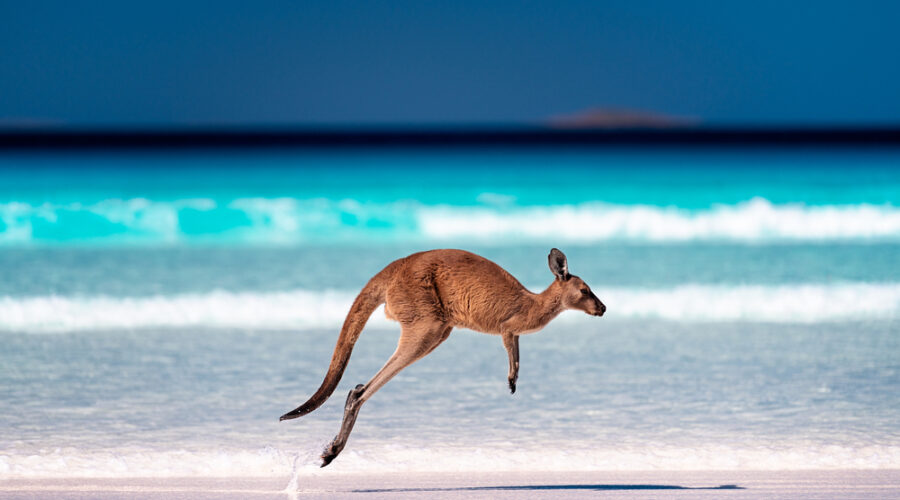 Embrace the Ocean’s Magic: Unveil Australia’s Most Exquisite Beaches