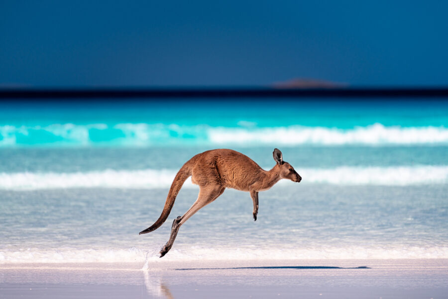 Embrace the Ocean’s Magic: Unveil Australia’s Most Exquisite Beaches