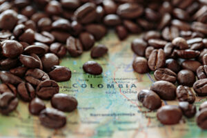 Unveiling Colombia’s Coffee Paradise: A Journey Through Salento and Valle de Cocora