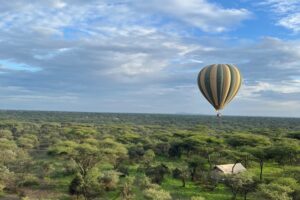 Soaring High Above the Serengeti: A Bucket-List Hot Air Balloon Adventure