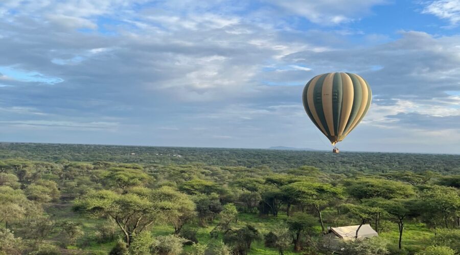 Soaring High Above the Serengeti: A Bucket-List Hot Air Balloon Adventure