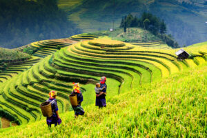 Discover the Enchanting Misty Mountains of Sapa: A Journey of Culture, Nature, and Self-Discovery