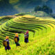 Discover the Enchanting Misty Mountains of Sapa: A Journey of Culture, Nature, and Self-Discovery