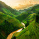 Discover the Hidden Charms of Vietnam: An Unforgettable 14-Day Journey